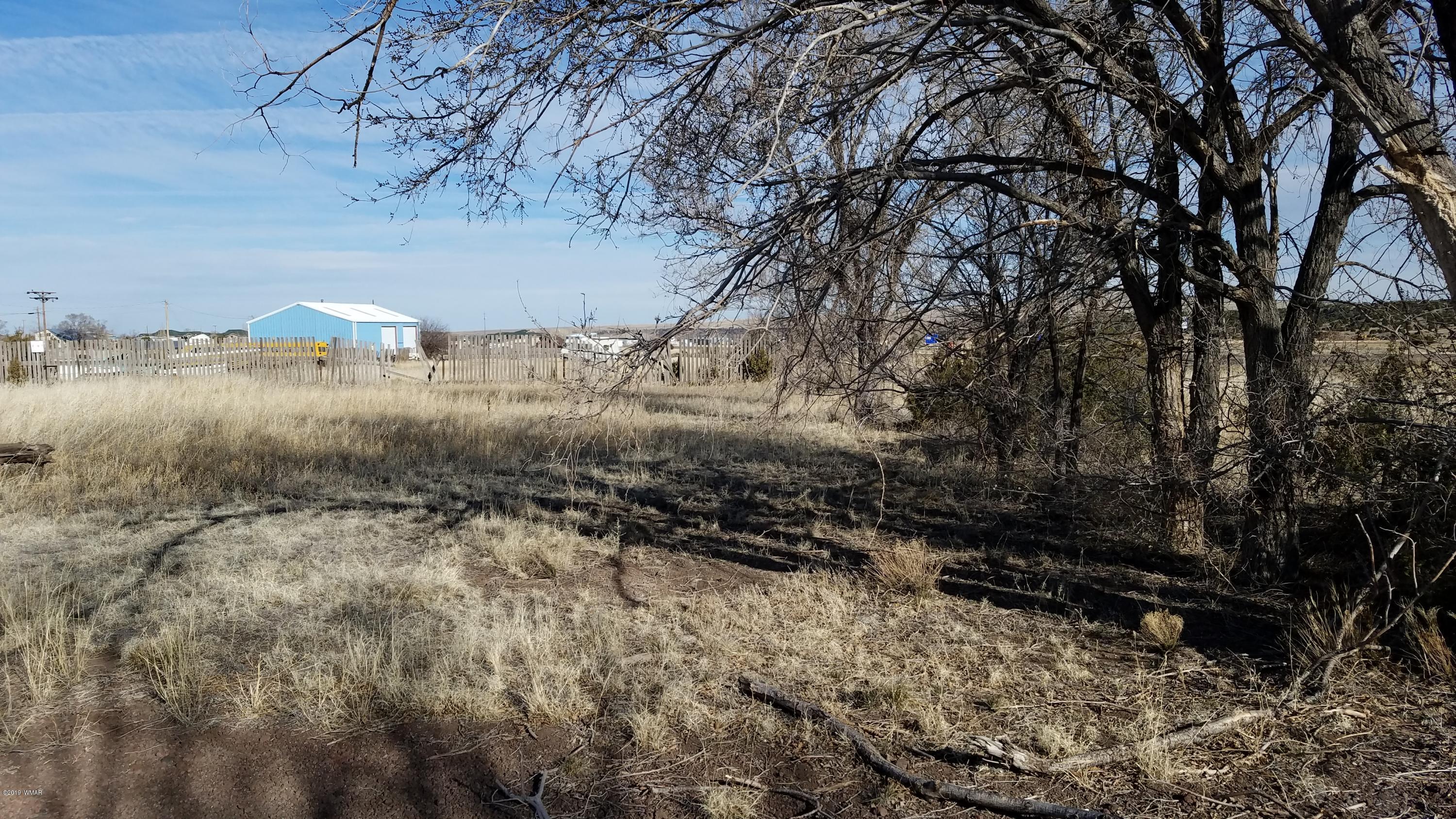 180/191 Springerville Az 85938 Springerville, AZ 85938 - Photo 3 of 12