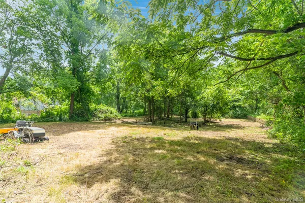a view of yard with tree