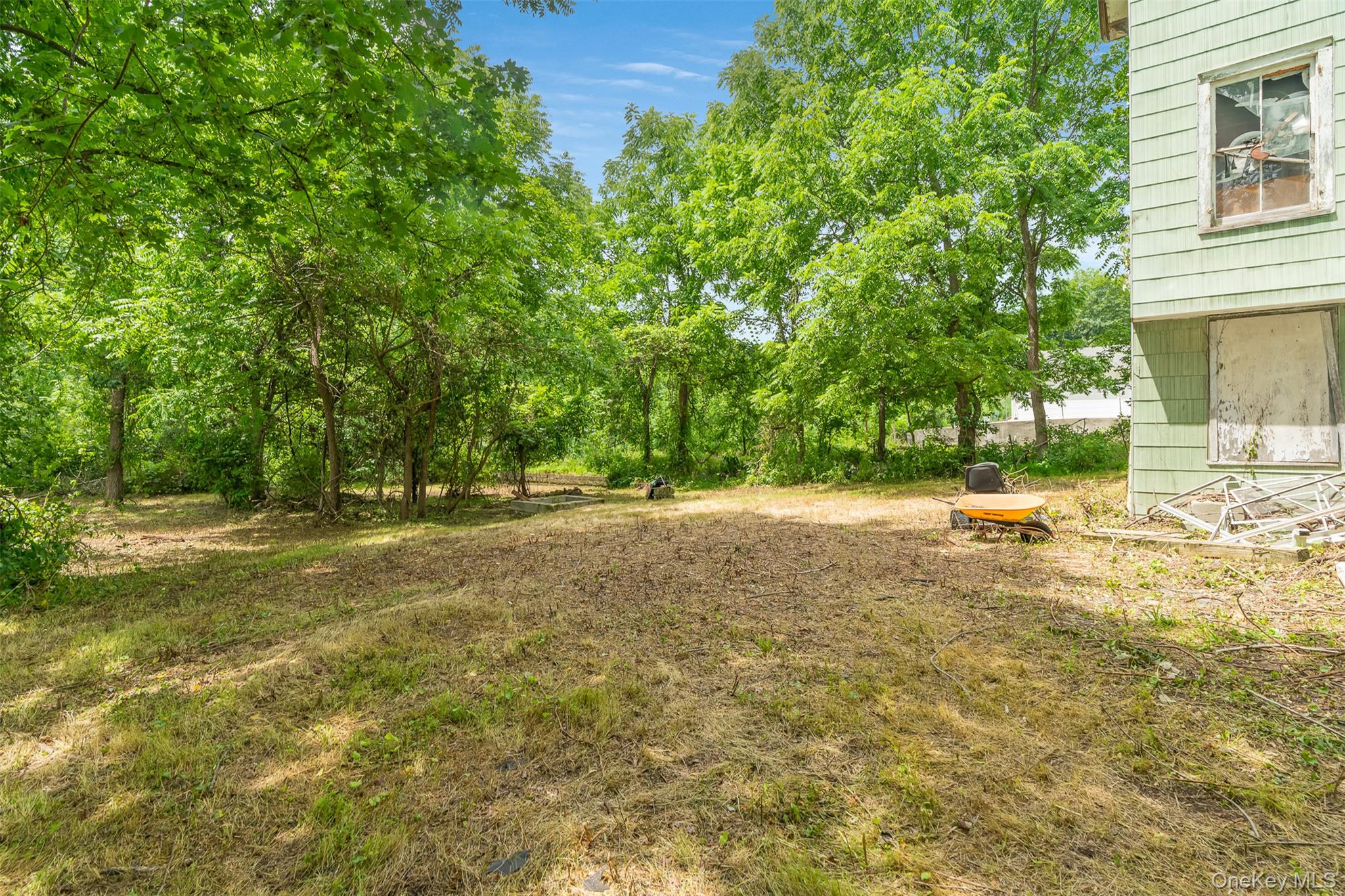 50 Maple Street Catskill, NY 12414 - Photo 25 of 27 a view of yard with tree