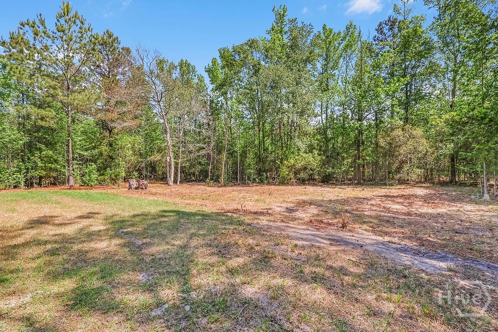 1319 Leefield Station Road Brooklet, GA 30415 - Photo 44 of 53
