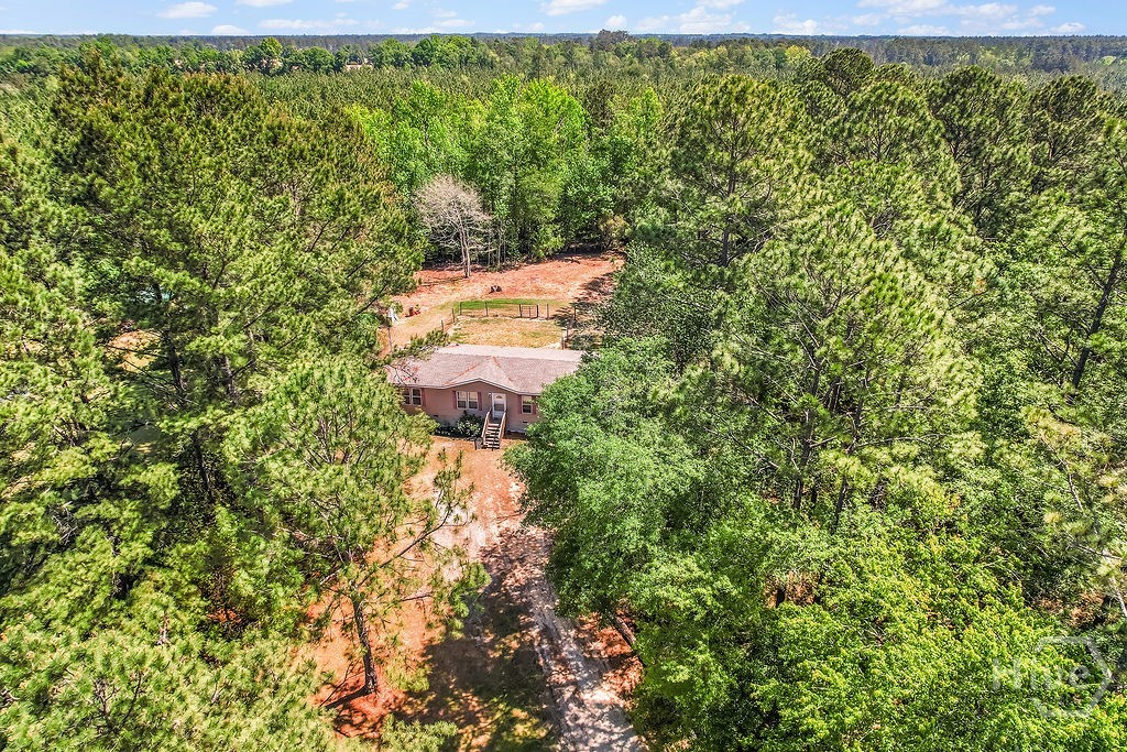 1319 Leefield Station Road Brooklet, GA 30415 - Photo 49 of 53