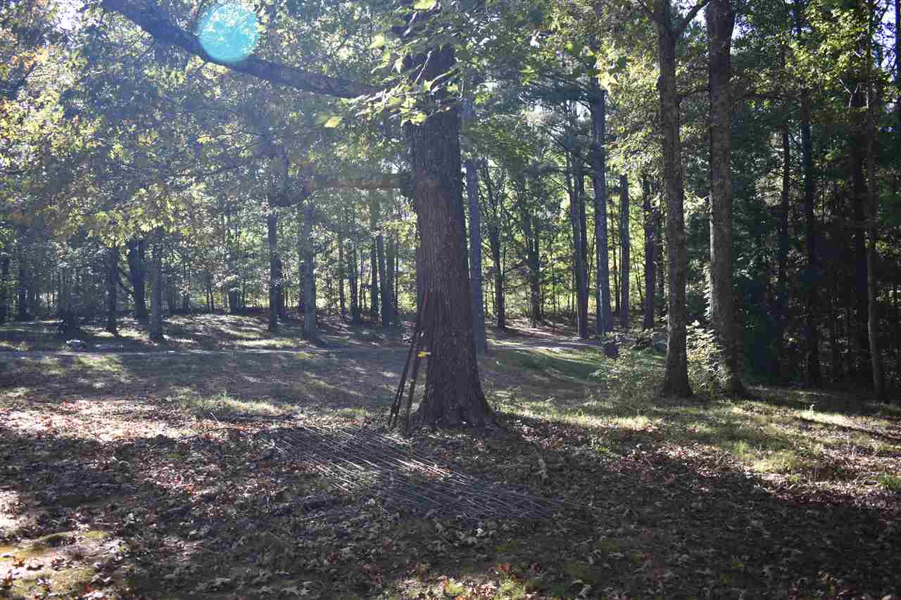 2928 Guys Chewalla Road Ramer, TN 38367 - Photo 15 of 20 Gallery Image 15