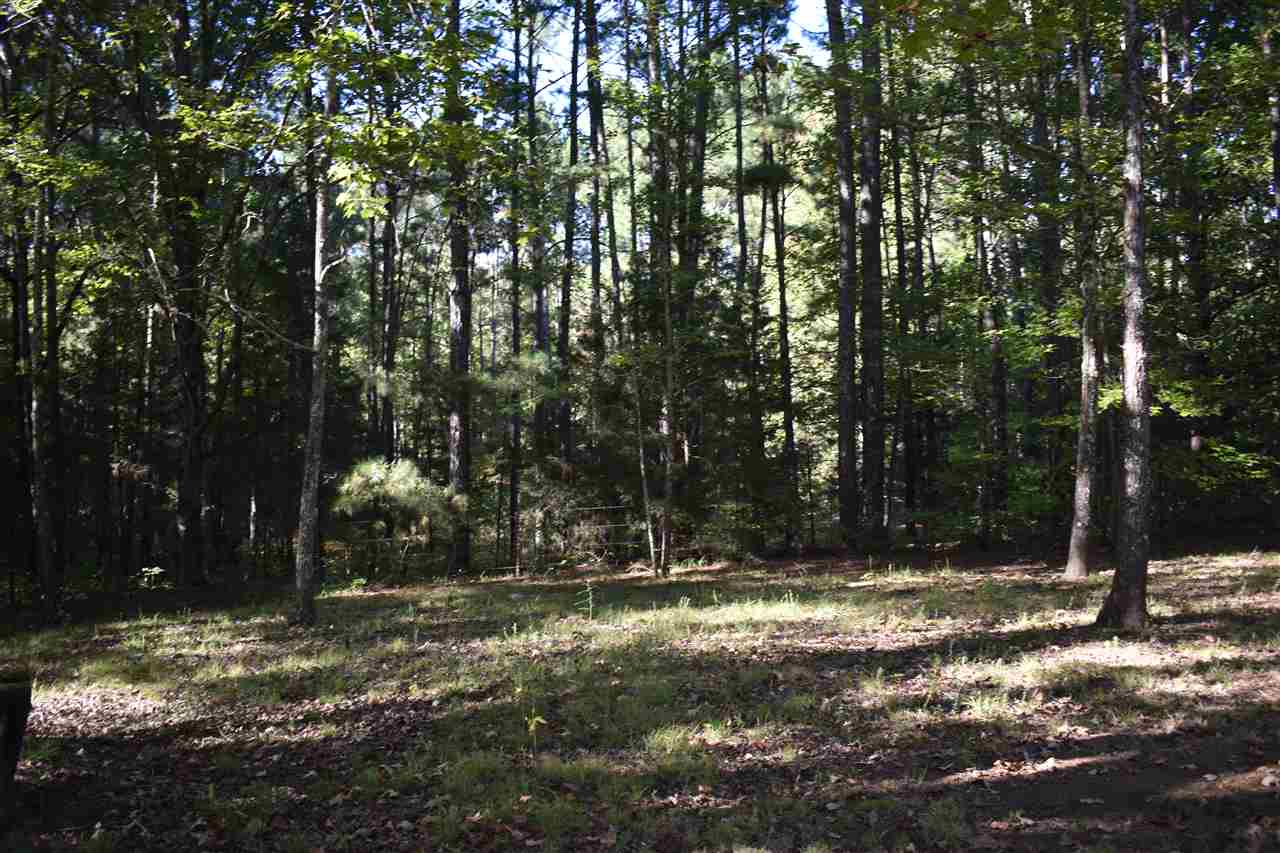 2928 Guys Chewalla Road Ramer, TN 38367 - Photo 19 of 20 Gallery Image 19