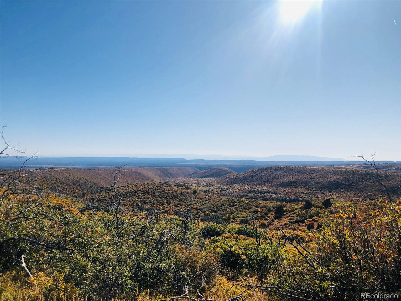 Trujillo Trail Antonito, CO 81120 - Photo 15 of 17