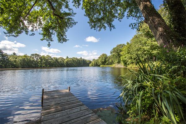 471 Grove Street Needham, MA 02492 - Photo 6 of 27