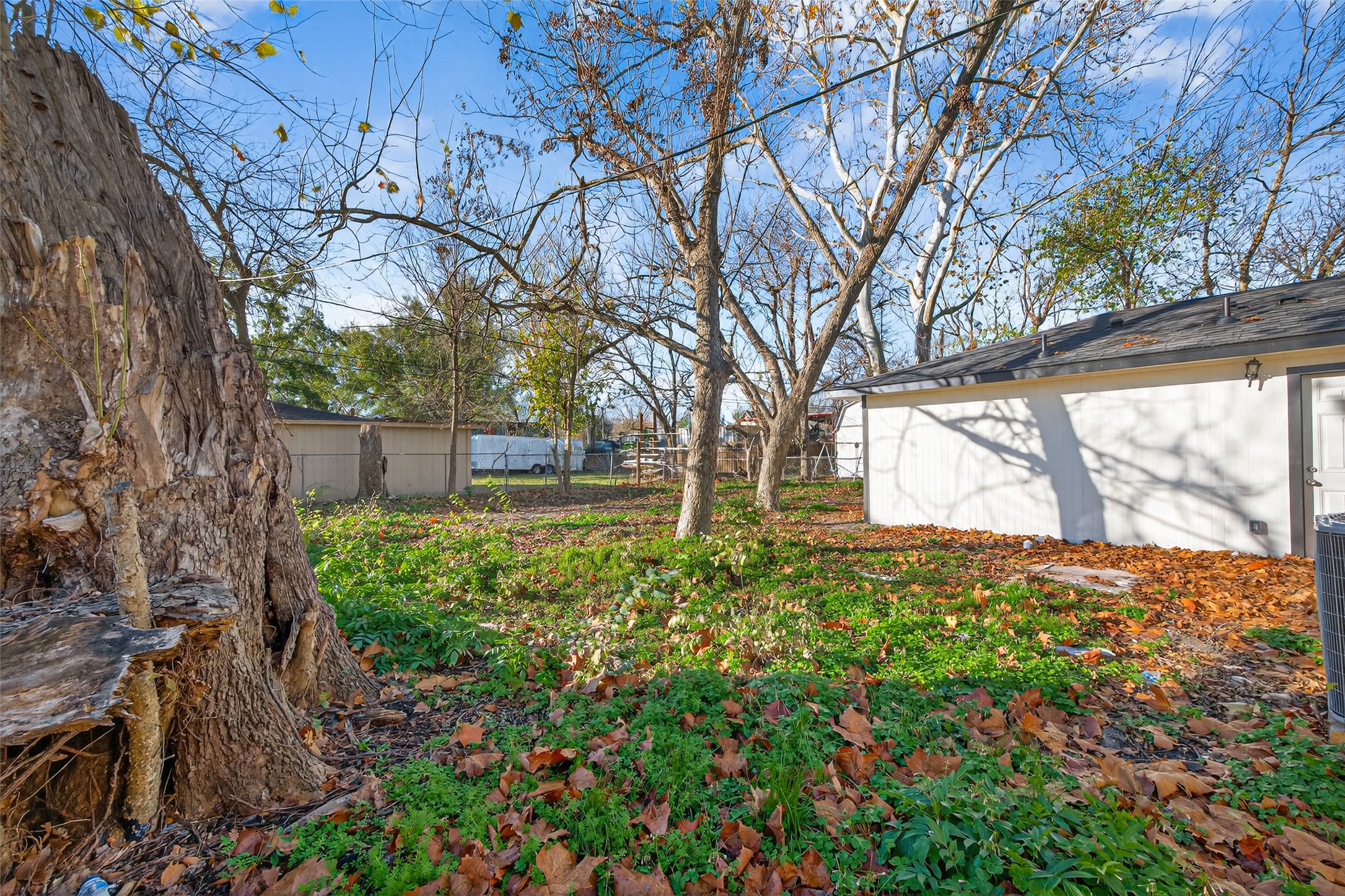 1238 Hopper Road Houston, TX 77037 - Photo 39 of 40 a view of a yard with plants and trees