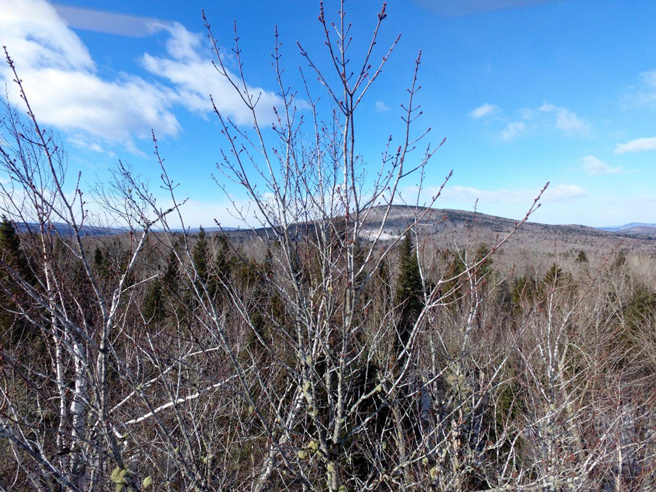2 Pine Bluff Road Embden, ME 04958 - Photo 29 of 36 DJI_0005