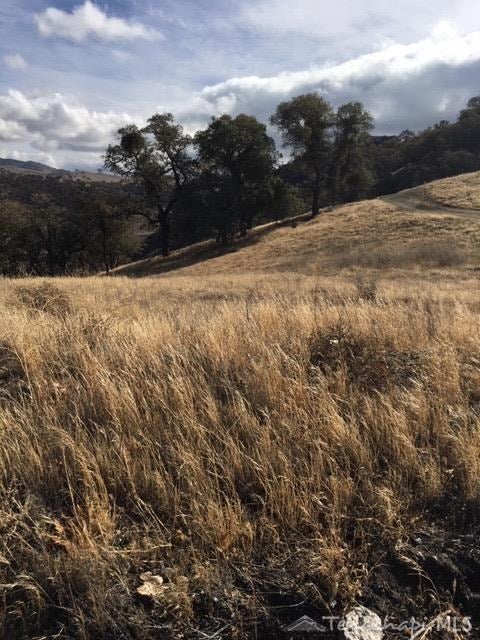 0 Pine Ridge Drive Tehachapi, CA 93561 - Photo 6 of 7 Gallery Image 6