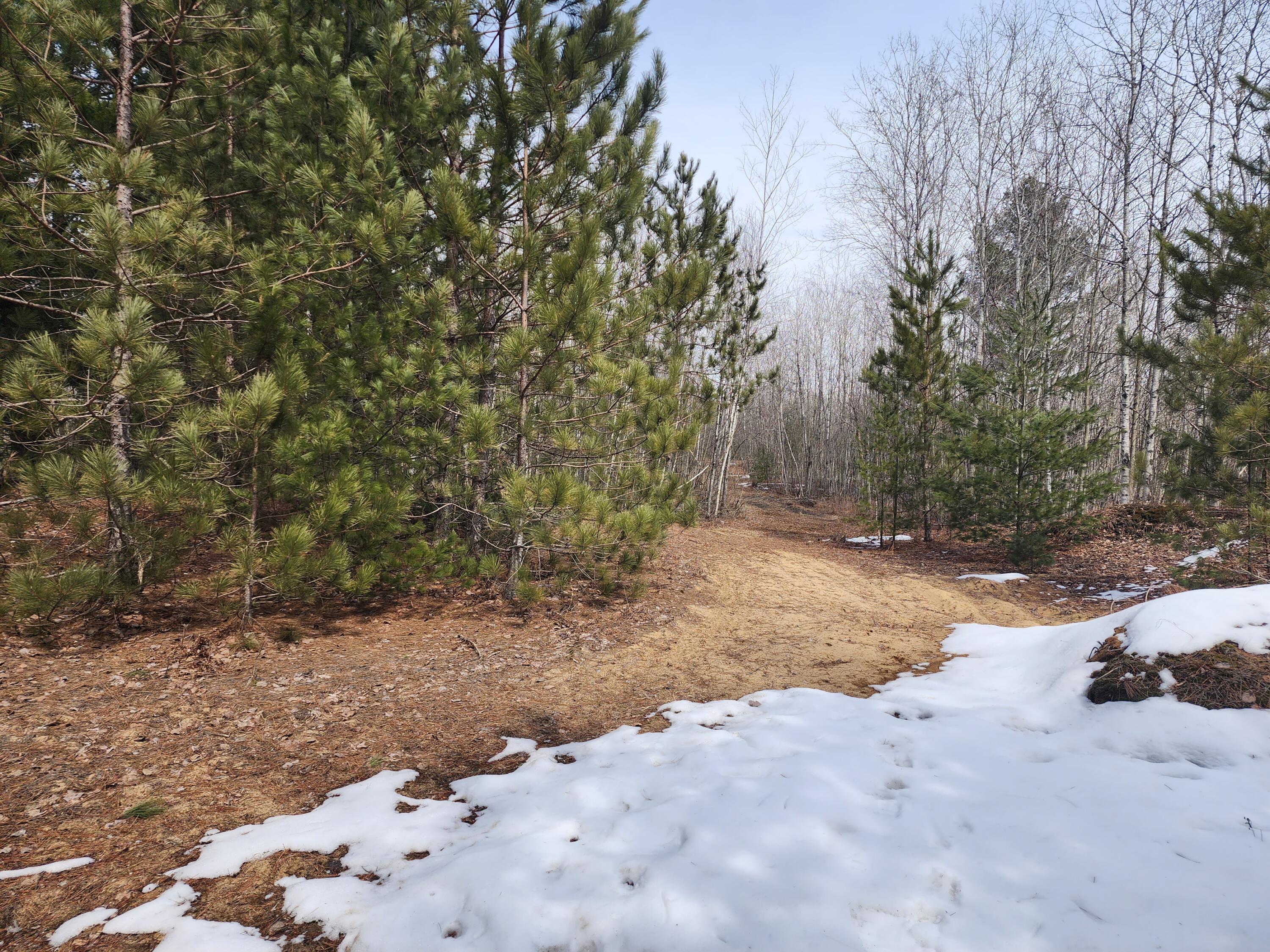 Nyrkkanen Road Kaleva, MI 49645 - Photo 3 of 14 20230321_134408