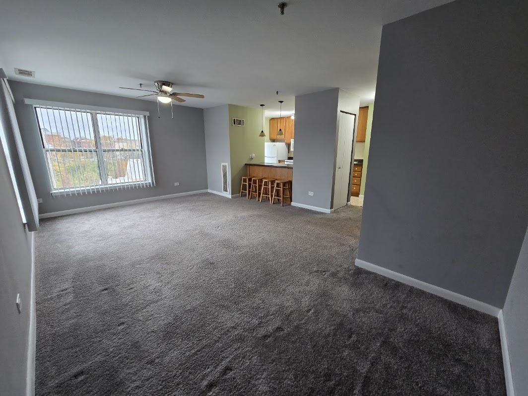 3255 Kirchoff Road, Unit 301 Rolling Meadows, IL 60008 - Photo 8 of 24 an empty room with windows and cabinet