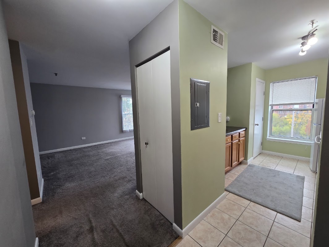 3255 Kirchoff Road, Unit 301 Rolling Meadows, IL 60008 - Photo 10 of 24