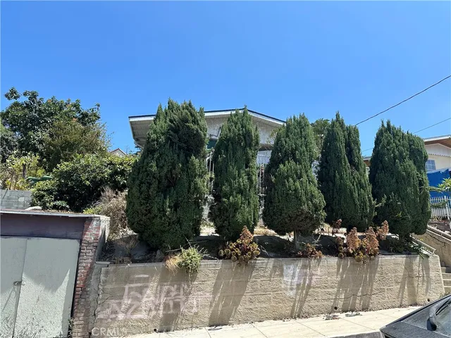 a view of a backyard