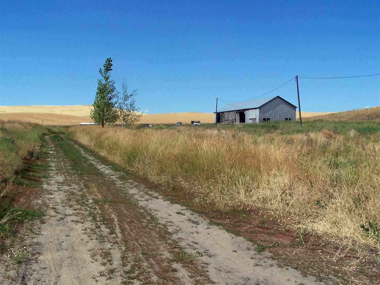 1902 Gashous Road Rosalia, WA 99170 - Photo 2 of 20