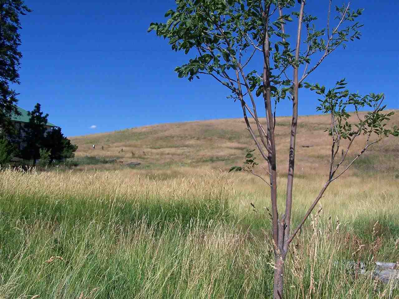 1902 Gashous Road Rosalia, WA 99170 - Photo 11 of 20