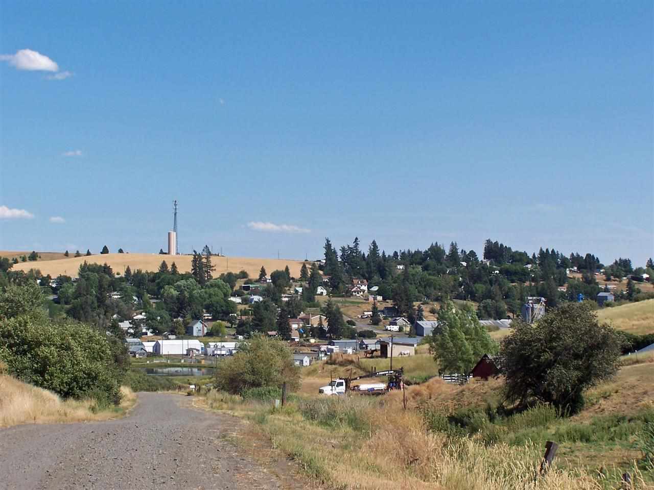 1902 Gashous Road Rosalia, WA 99170 - Photo 20 of 20