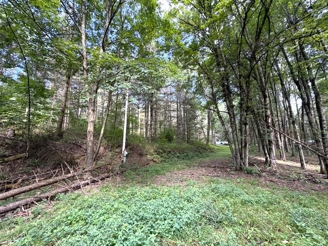 2 Dutton Loop Cuba, NY 14727 - Photo 9 of 16 Gallery Image 9