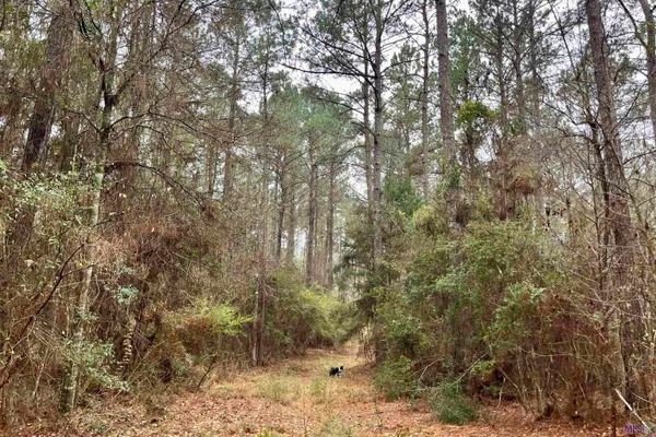 $199,500 | 1 Hinton Road, Gloster, MS 39638