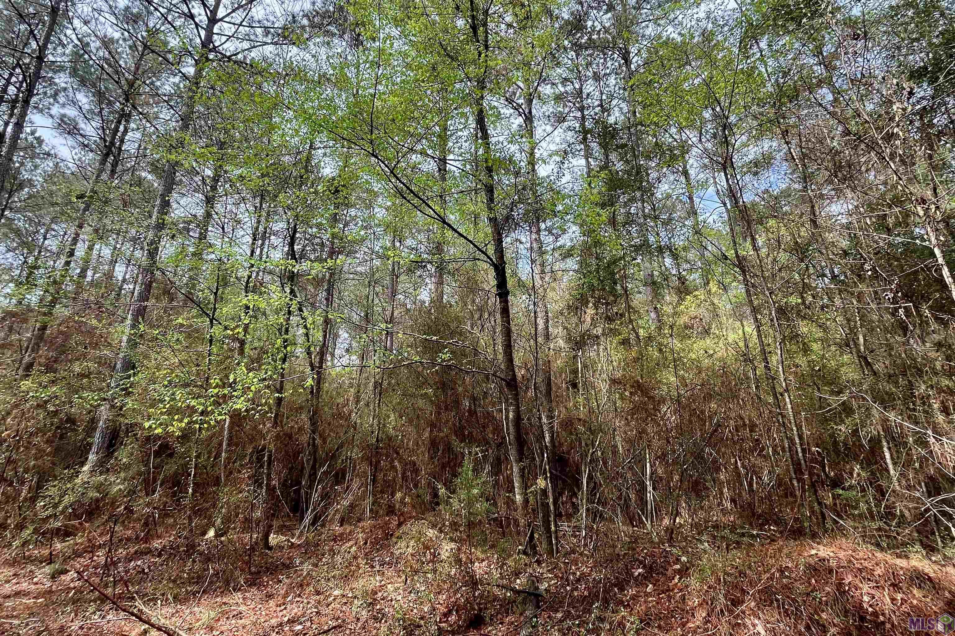 1 Hinton Road Gloster, MS 39638 - Photo 12 of 22