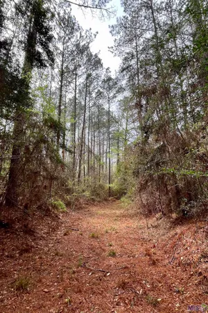 $199,500 | 1 Hinton Road, Gloster, MS 39638