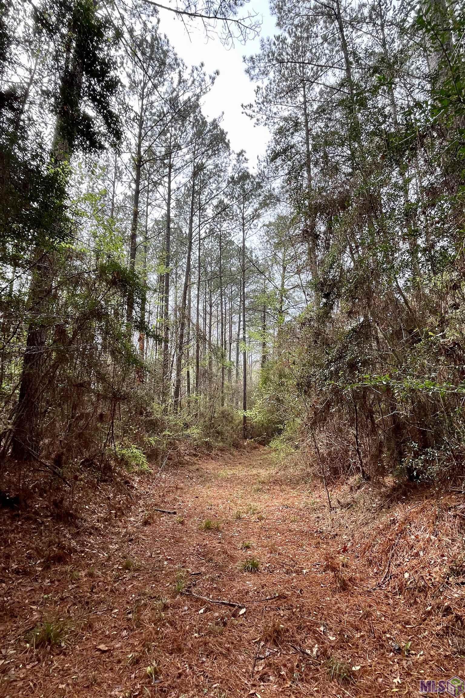 1 Hinton Road Gloster, MS 39638 - Photo 13 of 22