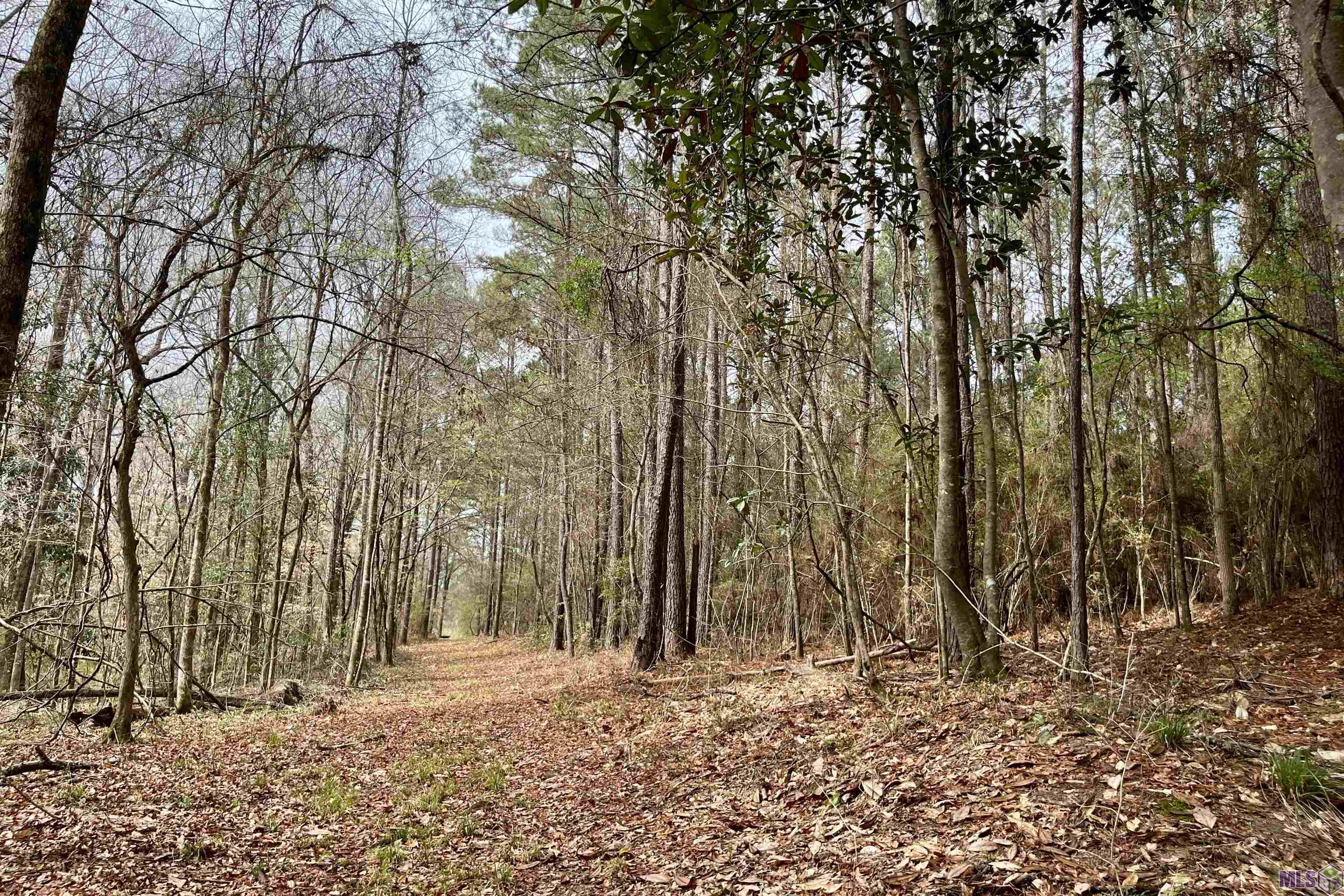 1 Hinton Road Gloster, MS 39638 - Photo 14 of 22