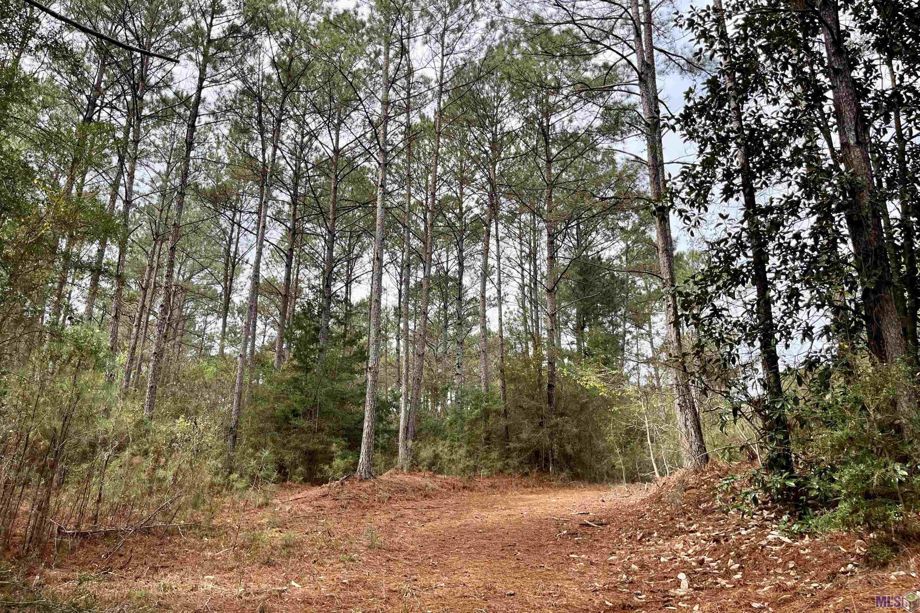 1 Hinton Road Gloster, MS 39638 - Photo 15 of 22