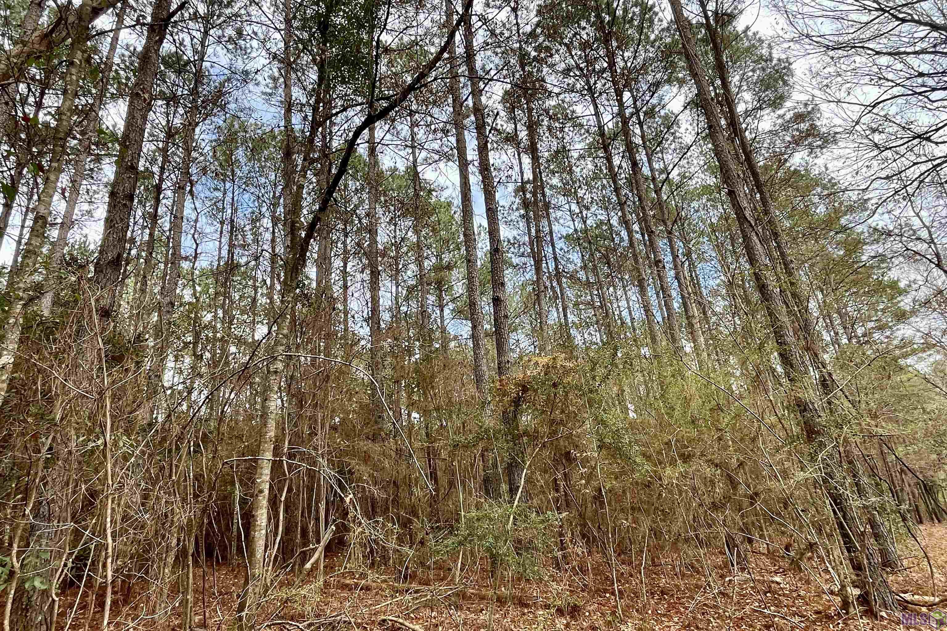 1 Hinton Road Gloster, MS 39638 - Photo 19 of 22