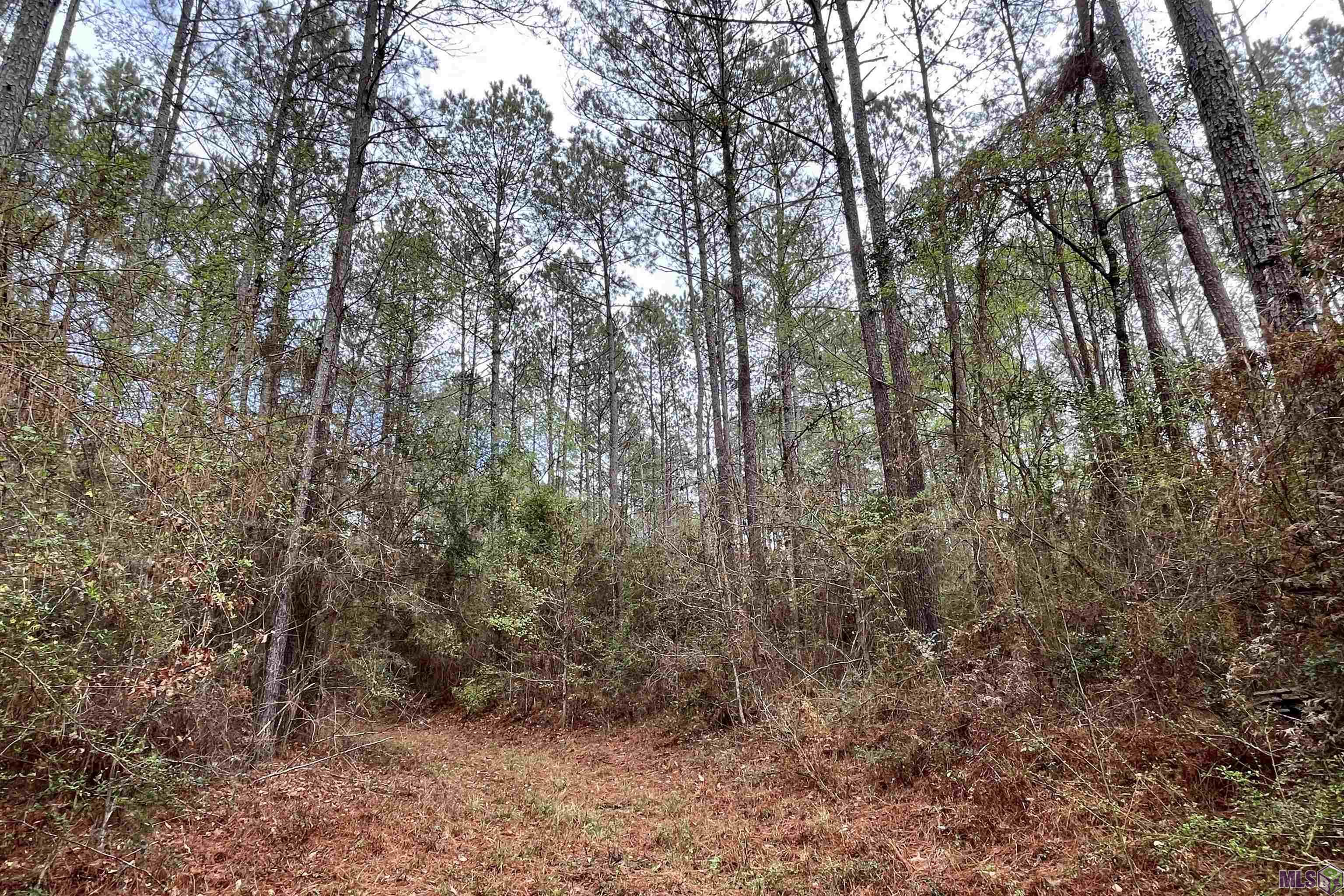 1 Hinton Road Gloster, MS 39638 - Photo 20 of 22