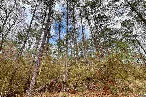 $199,500 | 1 Hinton Road, Gloster, MS 39638