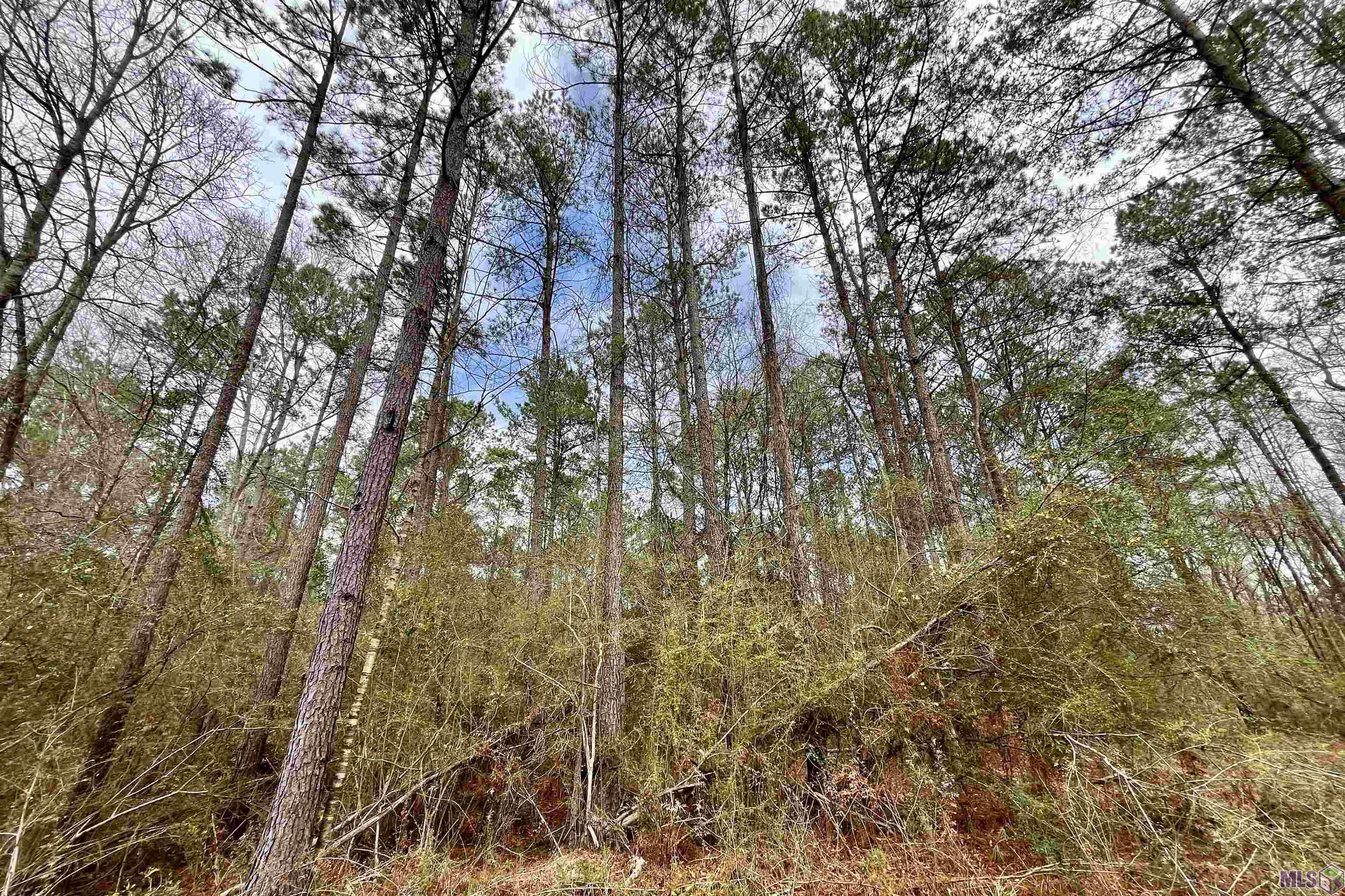 1 Hinton Road Gloster, MS 39638 - Photo 2 of 22