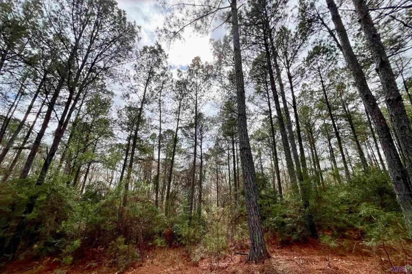 $199,500 | 1 Hinton Road, Gloster, MS 39638