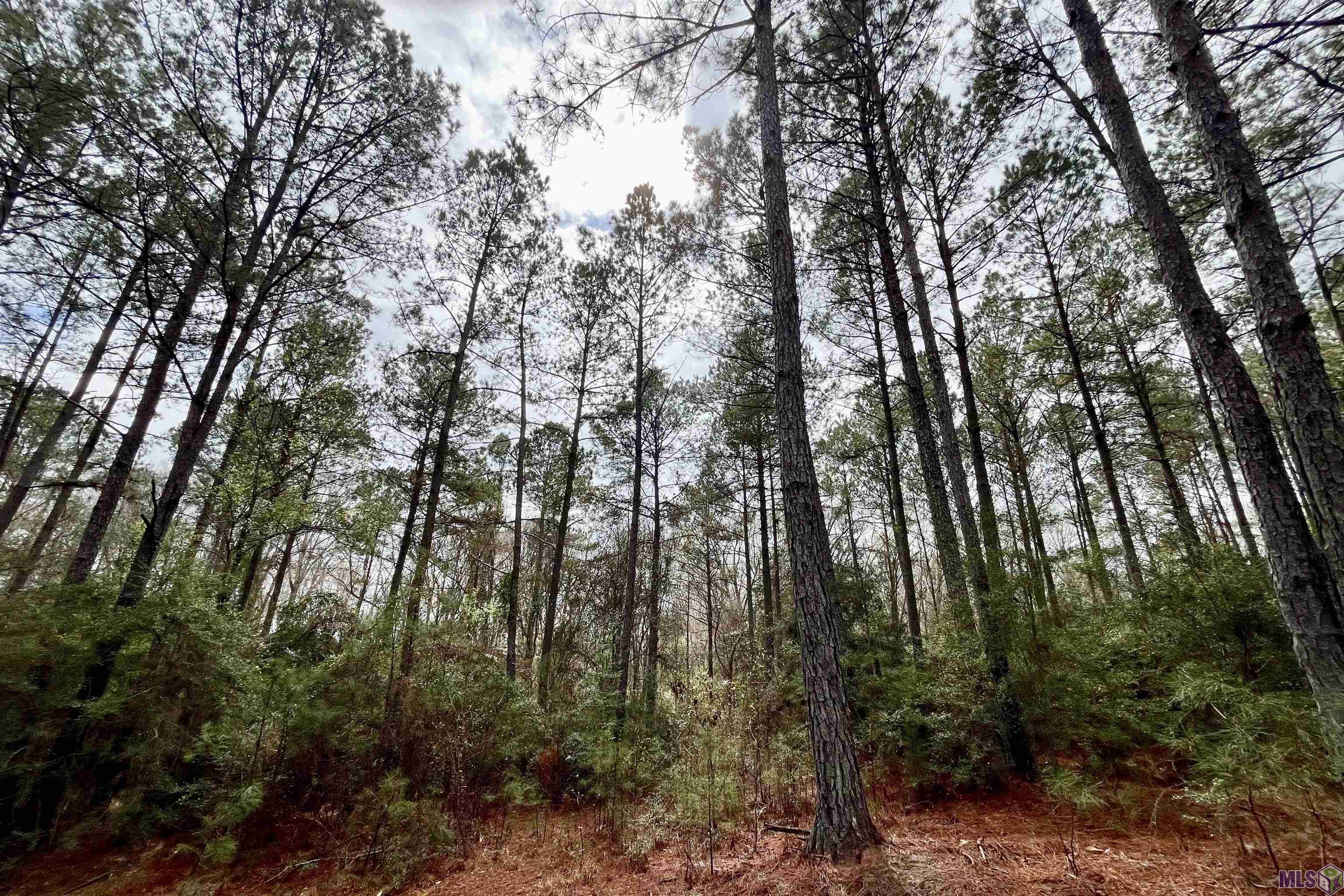 1 Hinton Road Gloster, MS 39638 - Photo 4 of 22