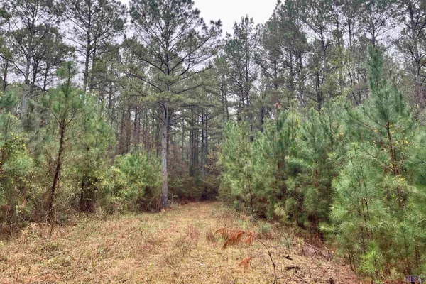 $199,500 | 1 Hinton Road, Gloster, MS 39638