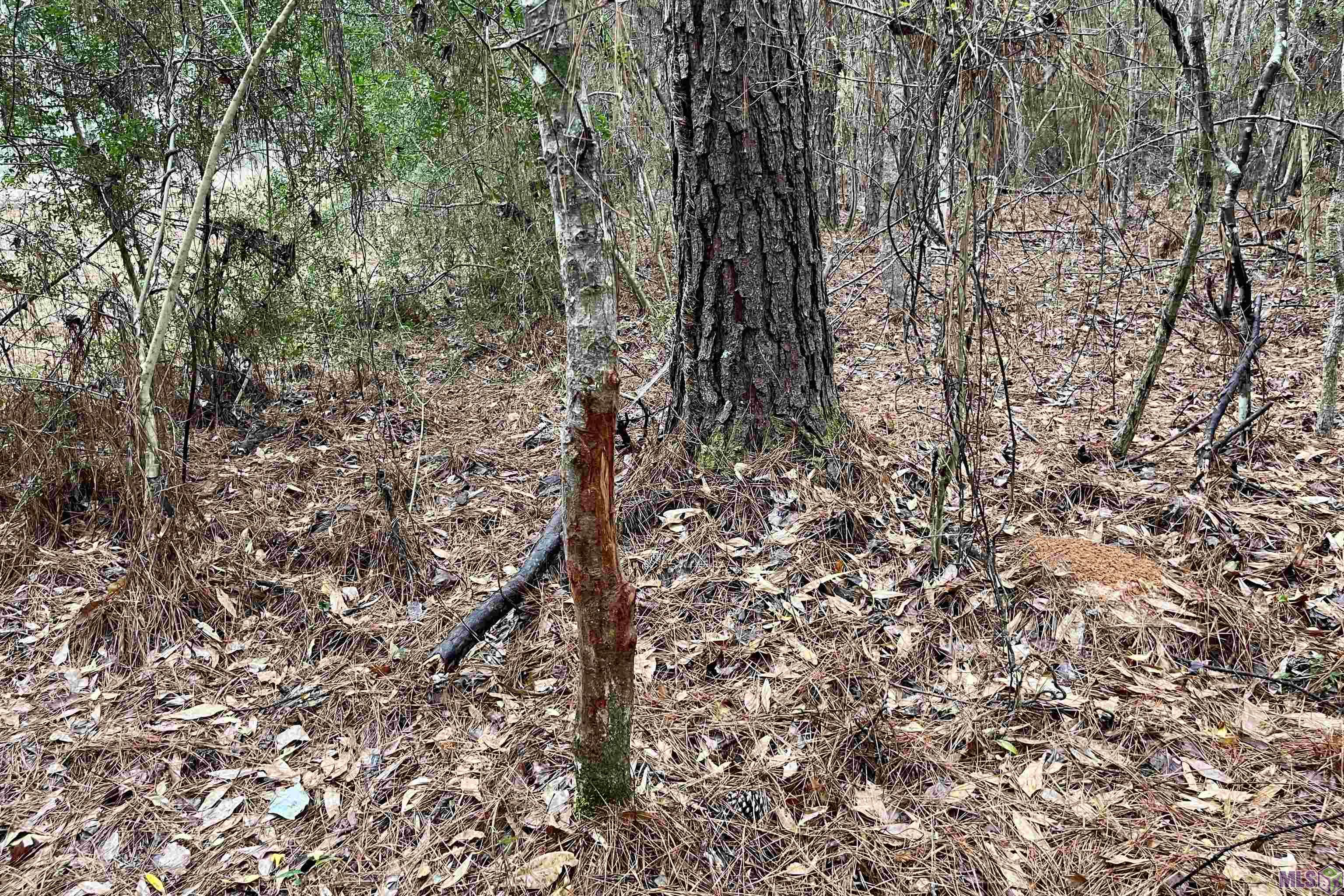 1 Hinton Road Gloster, MS 39638 - Photo 6 of 22