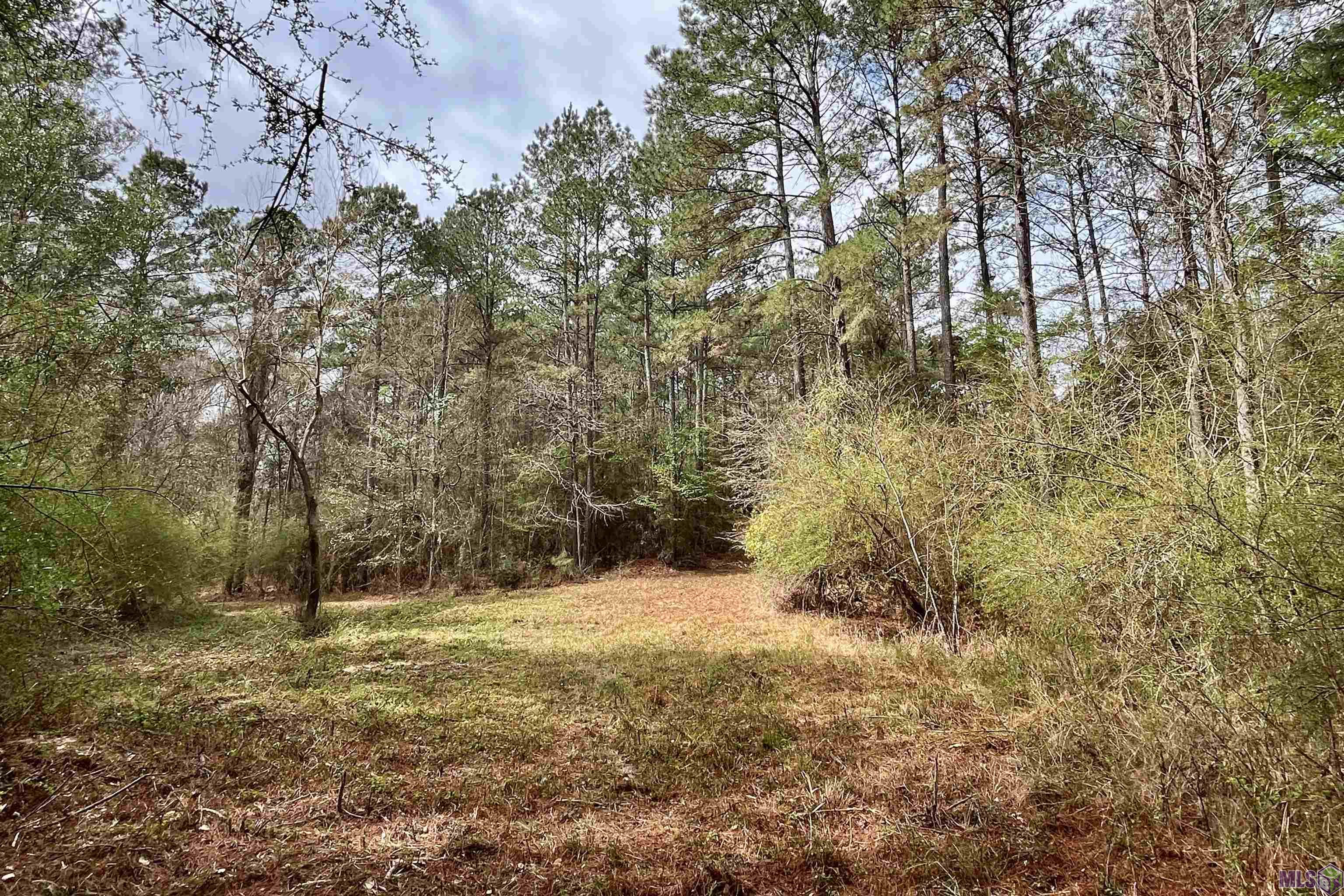 1 Hinton Road Gloster, MS 39638 - Photo 7 of 22