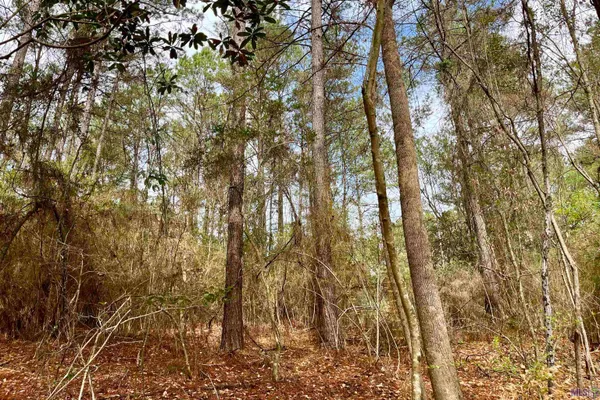 $199,500 | 1 Hinton Road, Gloster, MS 39638