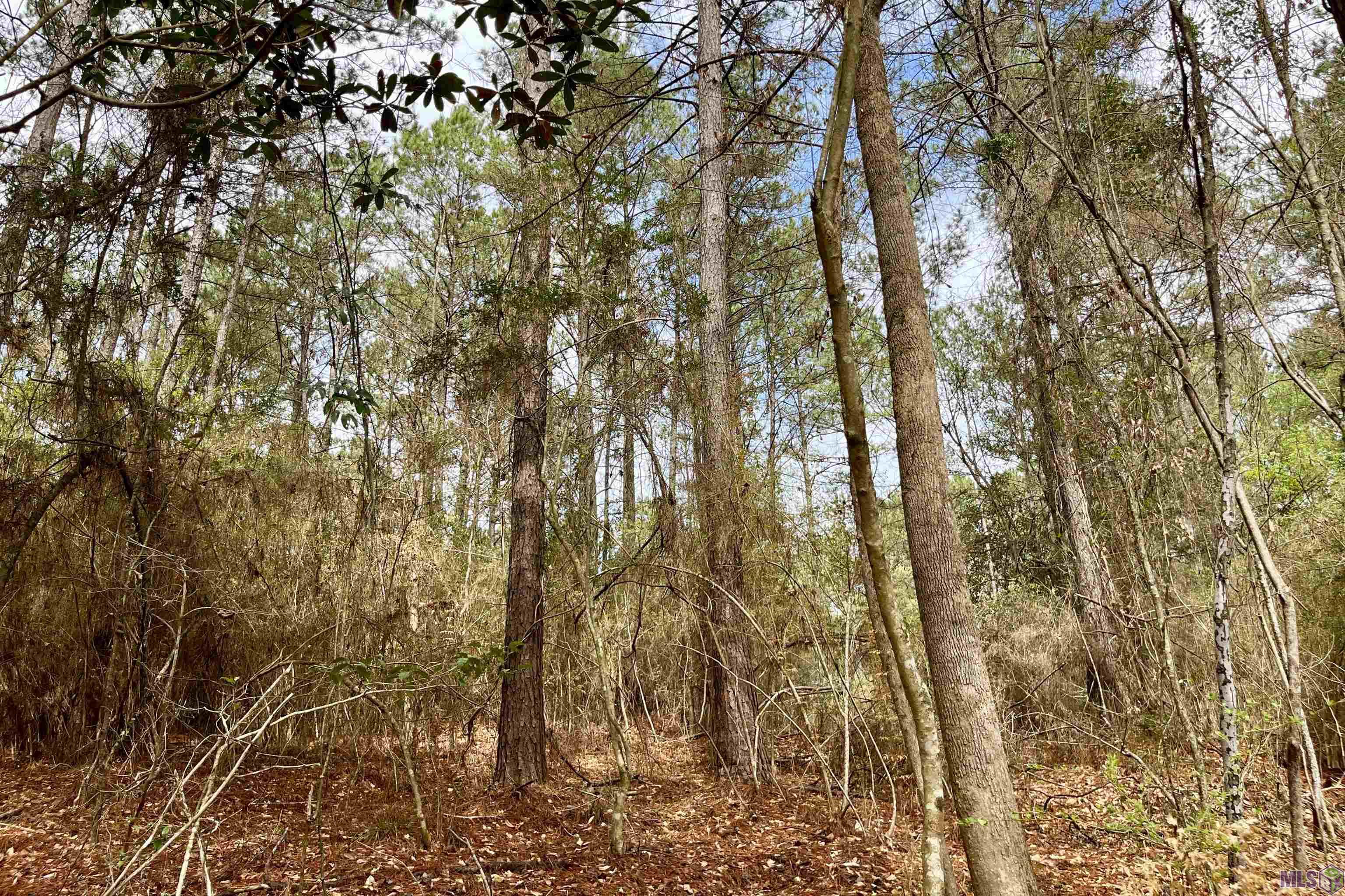 1 Hinton Road Gloster, MS 39638 - Photo 8 of 22