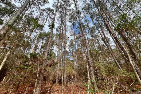 $199,500 | 1 Hinton Road, Gloster, MS 39638