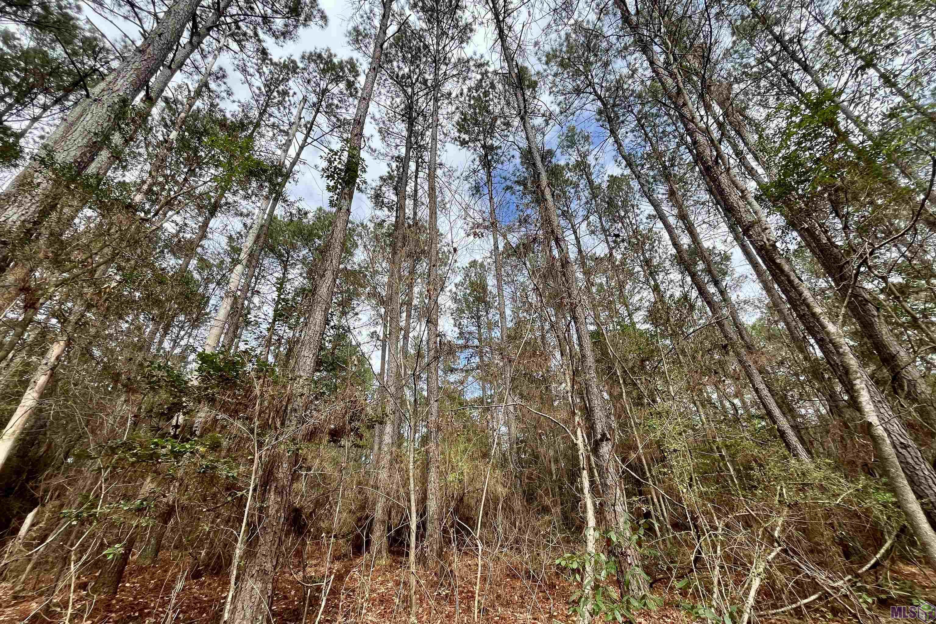 1 Hinton Road Gloster, MS 39638 - Photo 9 of 22