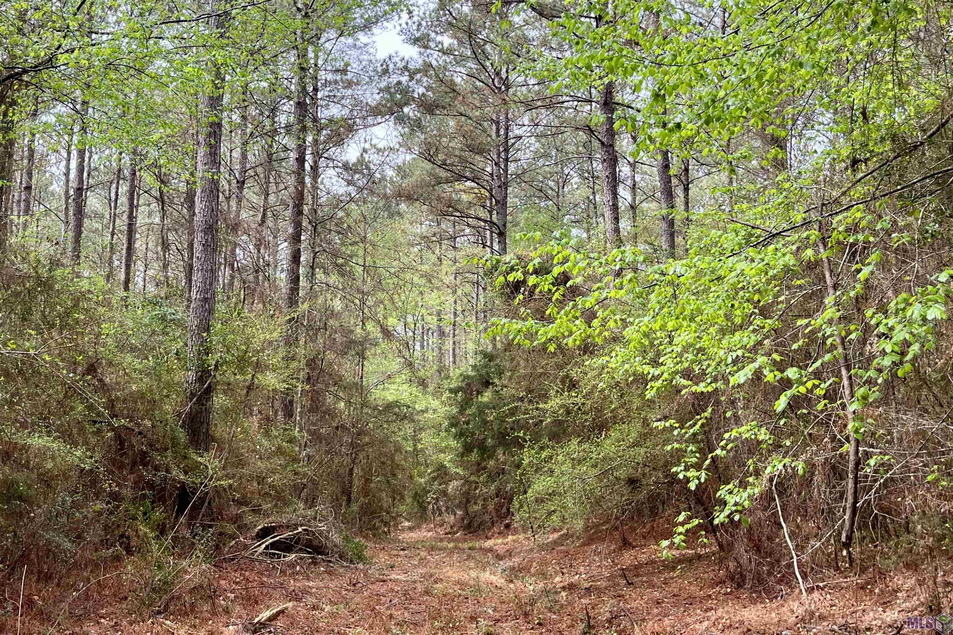 1 Hinton Road Gloster, MS 39638 - Photo 10 of 22