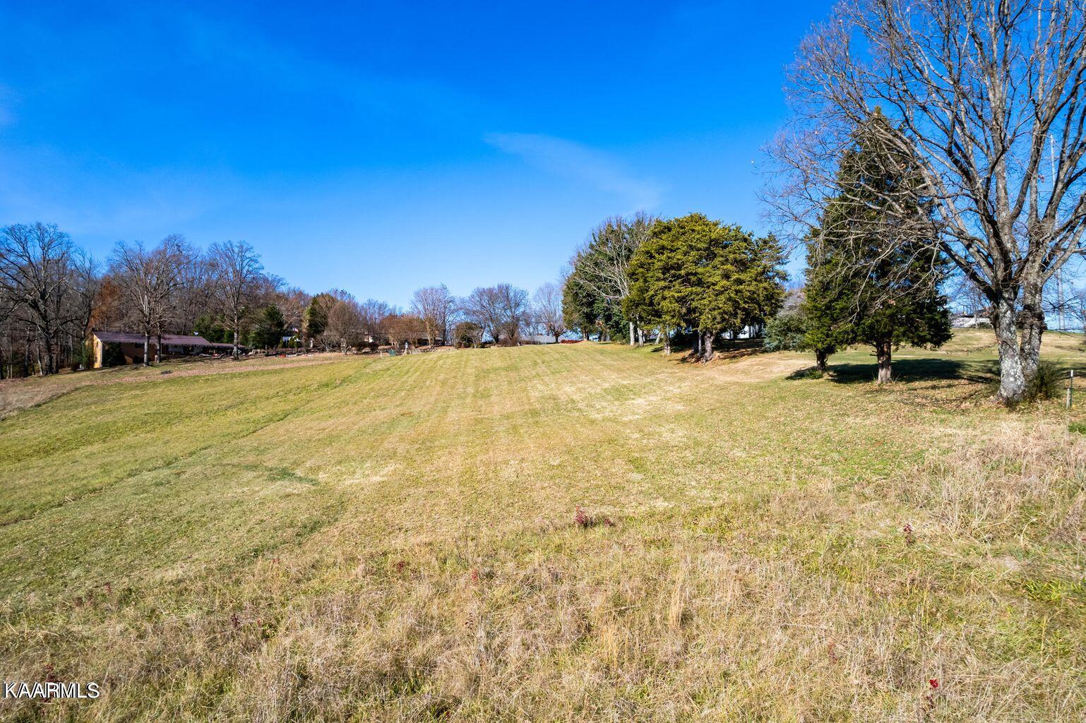 1035 Kirk Road Greenback, TN 37742 - Photo 3 of 18 Kirk Rd 3