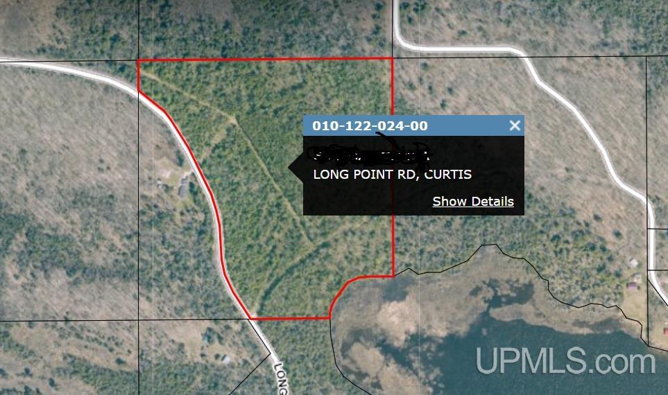 Tbd Tbd Long Point Road Curtis, MI 49820 - Photo 3 of 77