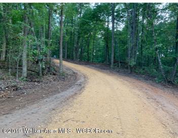 457 Broadway Road Winfield, AL 35594 - Photo 9 of 16 Gallery Image 9