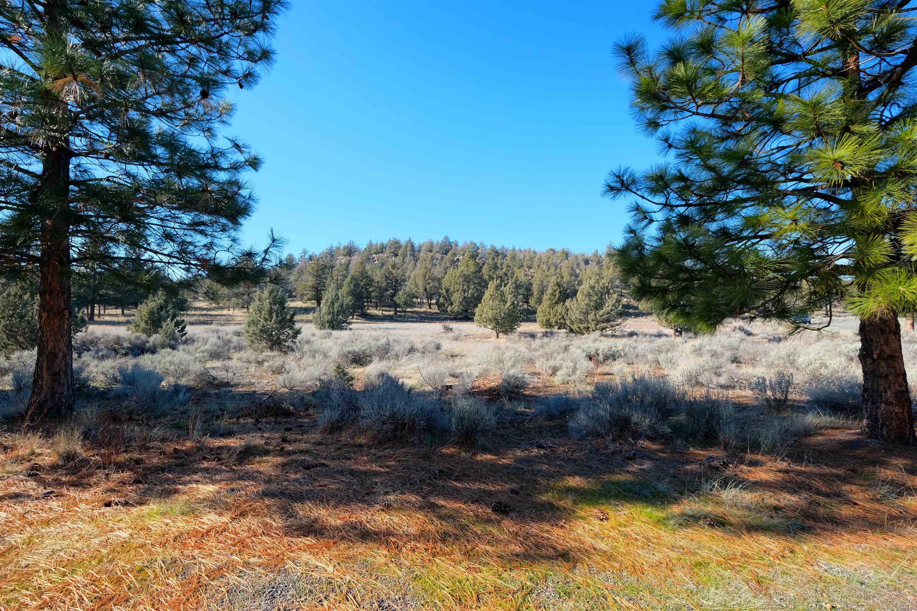 Hidden Valley Road Weed, CA 96094 - Photo 6 of 17 Gallery Image 6