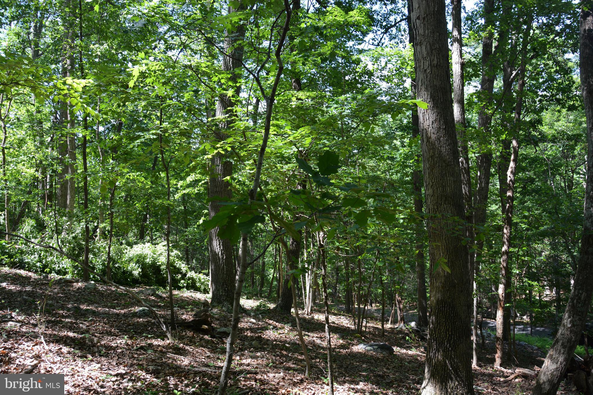 59 60 61 Baldwin Road Front Royal, VA 22630 - Photo 18 of 23