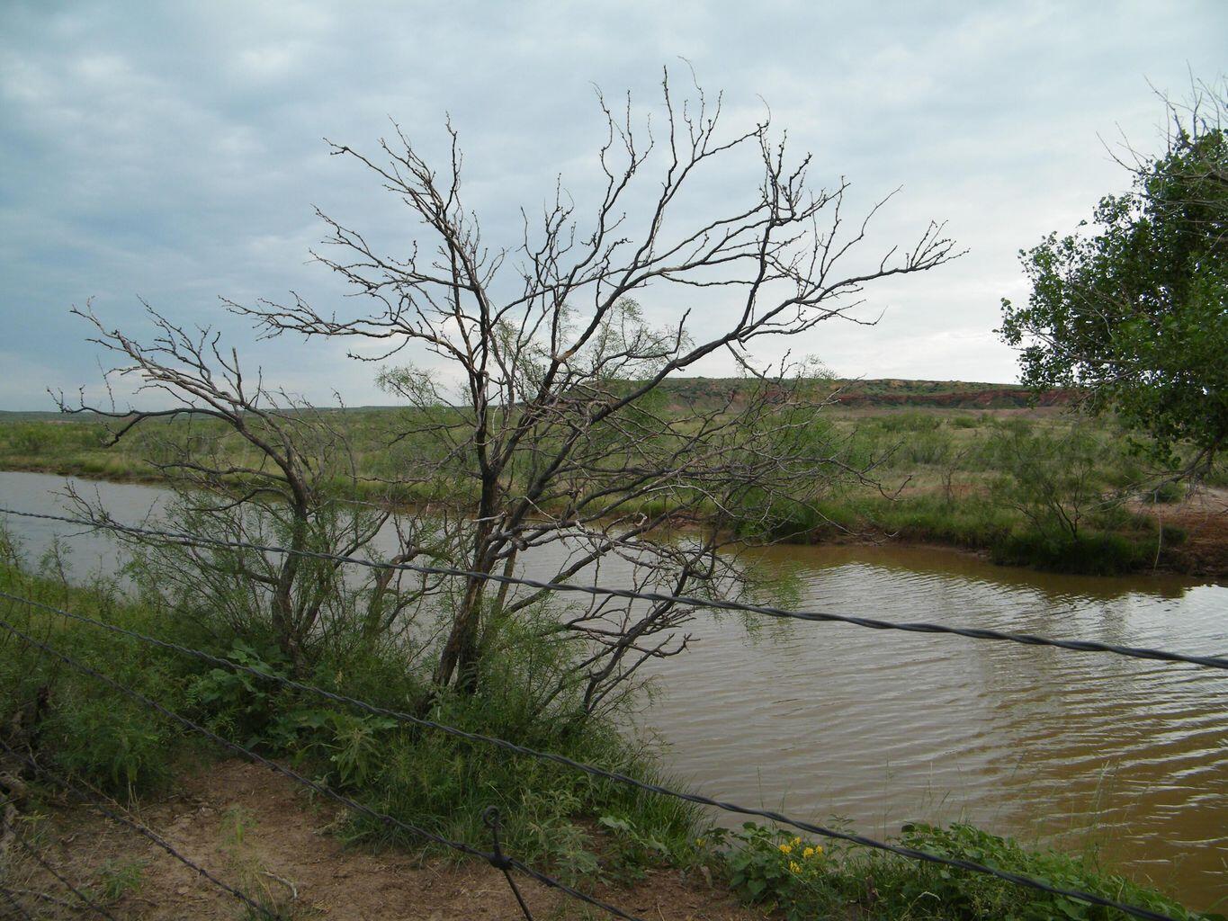 0 Gold Road Amarillo, TX 79124 - Photo 1 of 19 a view of a yard with plants and large trees
