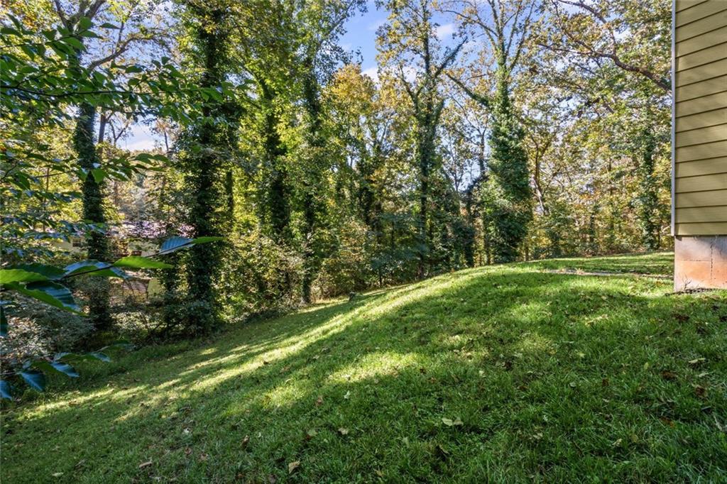 3675 Rosedale Circle Gainesville, GA 30506 - Photo 30 of 32 a view of yard with green space