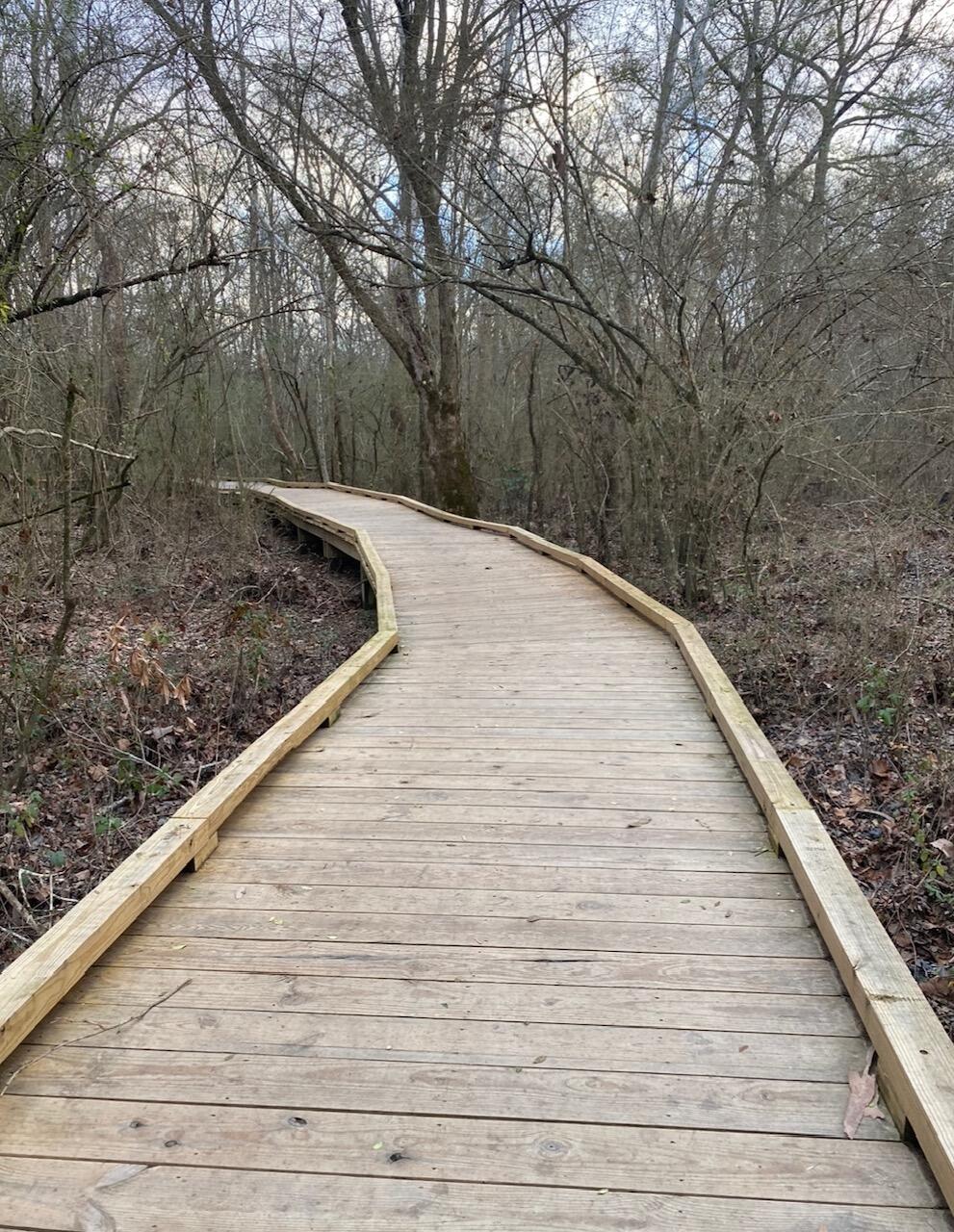 423 Roebuck Pass Grovetown, GA 30813 - Photo 46 of 47 IMG_7144