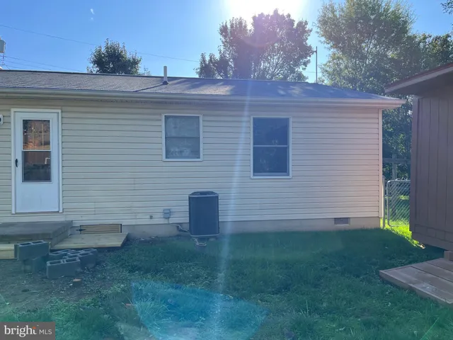 a view of a backyard with plants and large tree