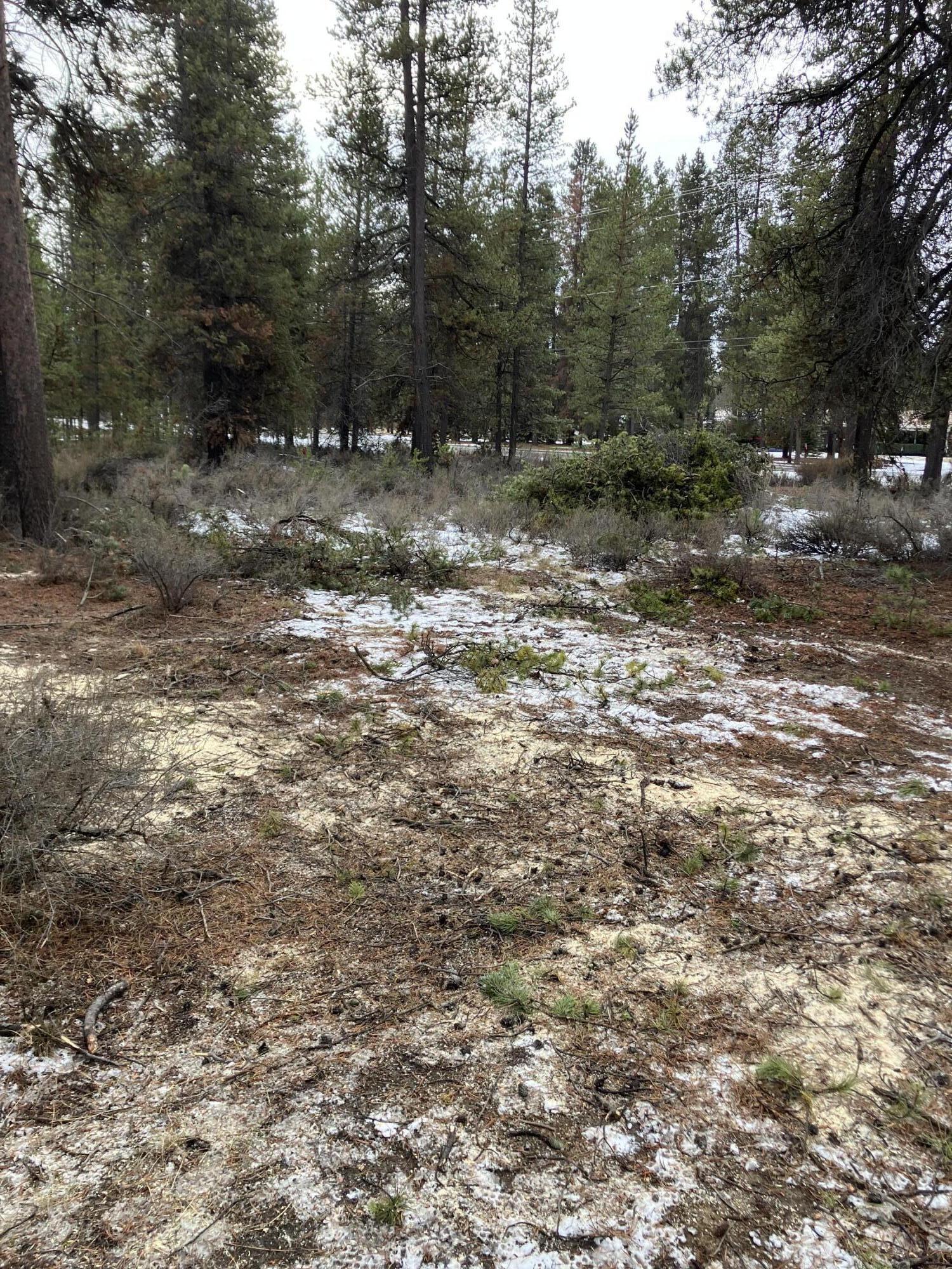 52862 Day Road La Pine, OR 97739 - Photo 1 of 2 IMG_0372